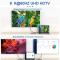  Mini DisplayPort DP till DisplayPort Adapter 8K 60Hz Blå