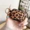  AirPods Pro 3 Skal Leopard Print
