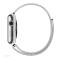  Milanese Loop Metall Armband Apple Watch 42/44/45/46/49 mm Silver