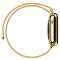  Milanese Loop Metall Armband Apple Watch 42/44/45/46/49 mm Guld