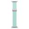 DUX DUCIS DUX DUCIS Apple Watch 38/40/41/42 mm Armband Flätat Grön