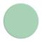 PopSockets PopSockets Basic Grip Pastell Mint