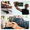 Supcase Supcase iPhone 17e / 16e Skal MagSafe Iblsn ArmorBox Guldan