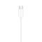 Tech-Protect Tech-Protect In-Ear Hörlurar USB-C UltraBoost Vit