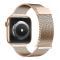 DUX DUCIS DUX DUCIS Apple Watch 42/44/45/46/49 mm Armband Milanese Pro