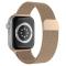 ColorPop ColorPop Milanese Loop Metall Armband Apple Watch 42/44/45/46/49 mm