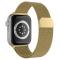 ColorPop ColorPop Milanese Loop Metall Armband Apple Watch 42/44/45/46/49 mm