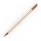 Tech-Protect Tech-Protect Charm Stylus Touch Penna Champagne Guld