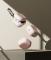 Ringke Ringke Galaxy Buds 4 / 4 Pro Skal Silikon Pink Sand