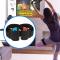 JYS JYS 10in1 Hållare / Speltillbehör För Nintendo Switch