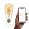 Hombli Hombli Smart Lampa Glödtråd E27 ST64-Bärnsten CCT