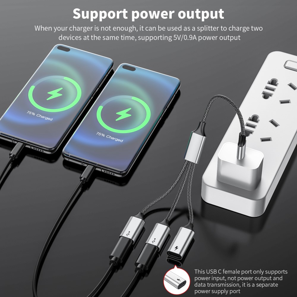  3in1 60W USB-C - 3x USB-C Hona Adapter Silver