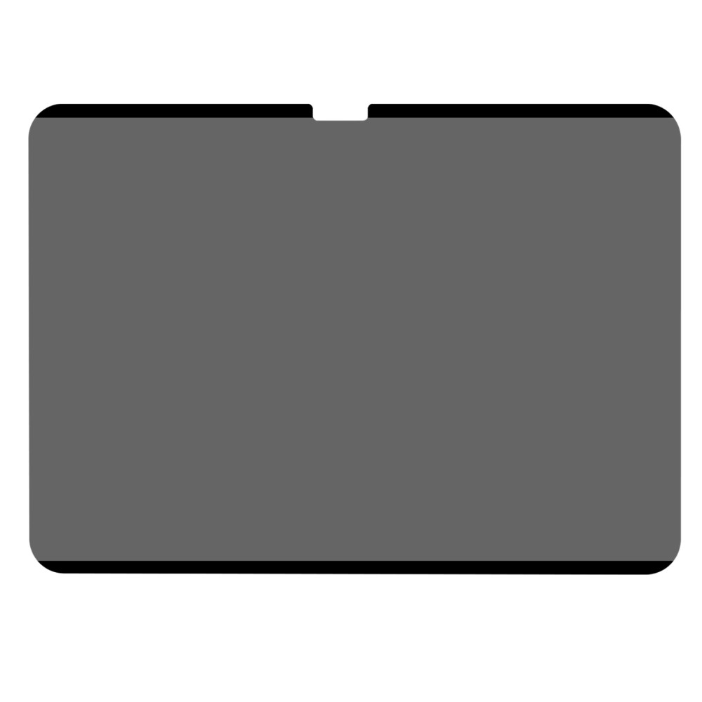  iPad Pro 11 2025/2024 Skärmskydd Magnetiskt Privacy