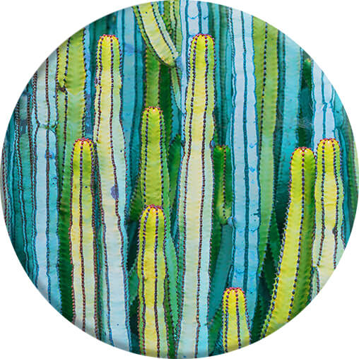 PopSockets PopSockets Grip med Ställfunktion Cactus Patch