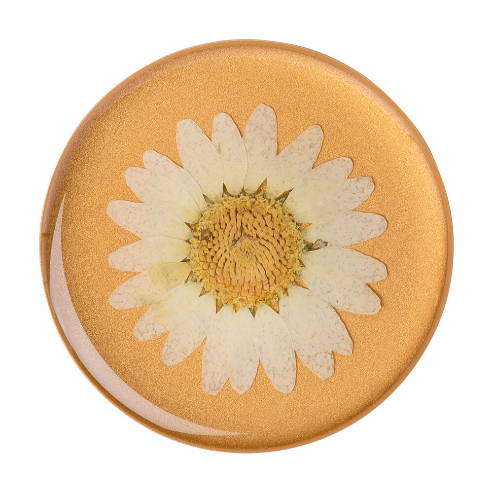 PopSockets PopSockets Avtagbart Grip med Ställfunktion Premium Pressed Flower White Daisy