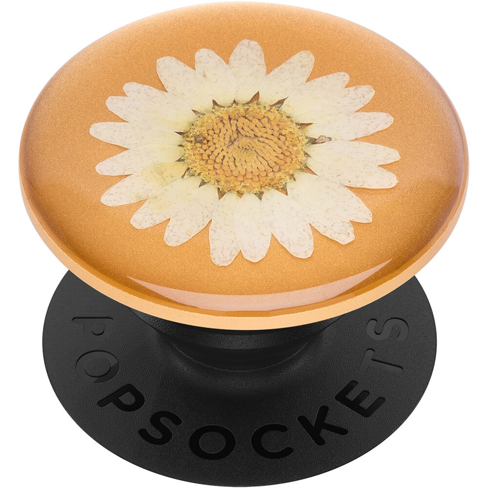 PopSockets PopSockets Avtagbart Grip med Ställfunktion Premium Pressed Flower White Daisy