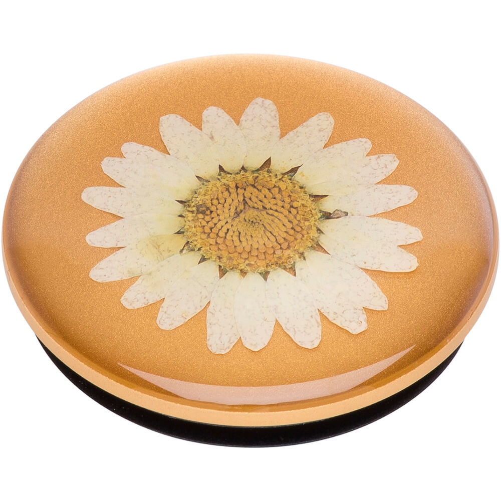PopSockets PopSockets Avtagbart Grip med Ställfunktion Premium Pressed Flower White Daisy
