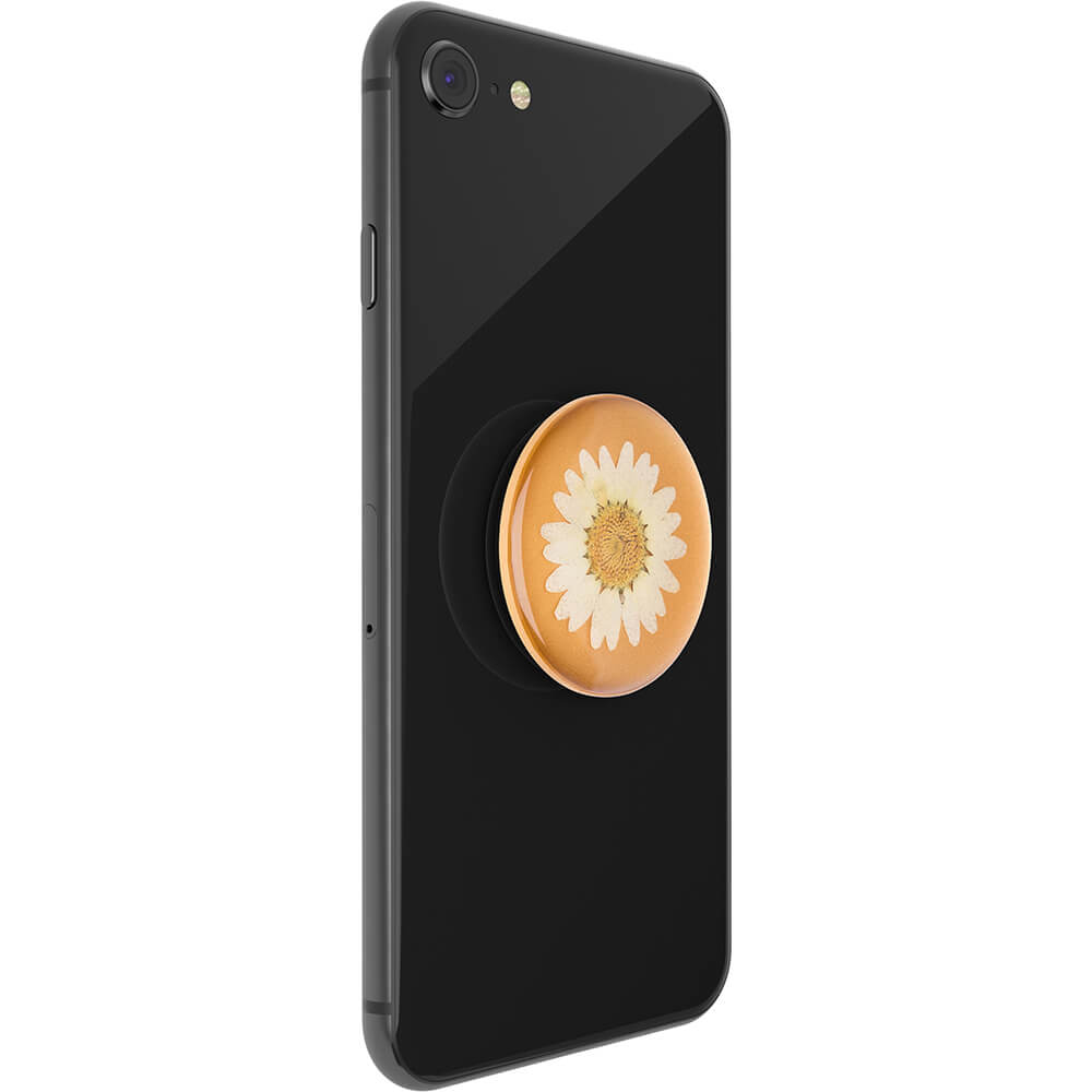 PopSockets PopSockets Avtagbart Grip med Ställfunktion Premium Pressed Flower White Daisy